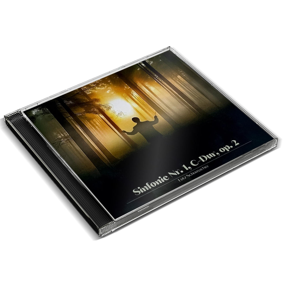 CD-Hülle mit dunklem Covermotiv: silhouettenhafte, dirigierende Person mit erhobenen Armen im Wald, Titel „Sinfonie Nr. 1 C-Dur op. 2“